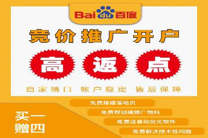 百度推广实战案例分享